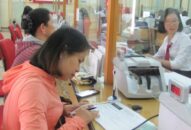 Tổng nguồn vốn huy động đạt 204.146 tỷ đồng