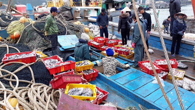 12 tàu được cấp giấy chứng nhận cơ sở đủ điều kiện an toàn thực phẩm