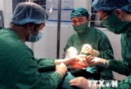 QQ8839 nhà cái: Nối liền bàn tay đứt rời bằng kỹ thuật vi phẫu