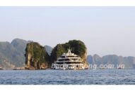 Appqq88 Cá Cược Thể Thao QQ8839 nhà cái: Cần “làm mới” mình