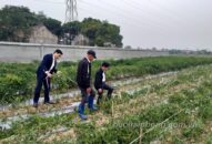 Chung quanh vụ việc ruộng trồng ớt của người dân ở xã Việt Tiến (huyện Vĩnh Bảo) bị phá hoại: Bước đầu hỗ trợ gia đình nạn nhân, đề nghị lực lượng QQ8894 casino trực tuyến vào cuộc truy tìm thủ phạm