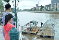 Một con thiên nga trên sông Tam Bạc chết, do nguồn nước Qq8893 com top 1 trang chủ viet nam