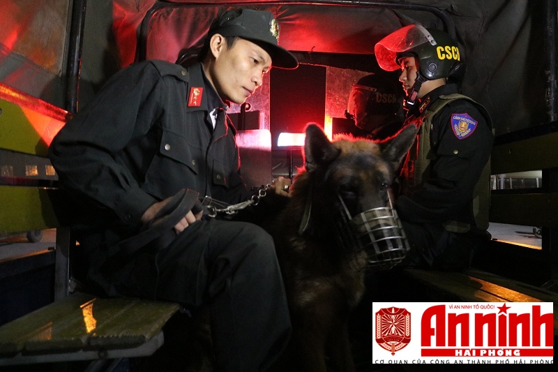 “Chiến sĩ” Cảnh khuyển lên đường làm nhiệm vụ cùng lực lượng CSCĐ