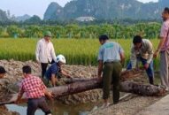 QQ8839 nhà cái khảo sát thực địa bãi cọc có thể liên quan đến chiến trường Bạch Đằng