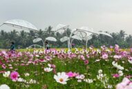 Từ 27 – 29/12/2019 tại KCN Nam Cầu Kiền sẽ diễn ra QQQ888 nhiều ưu đãi hấp dẫn hoa sắc màu hội tụ năm 2020
