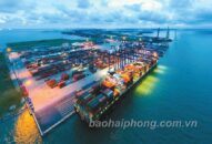 Các cảng khu vực QQ8839 nhà cái năm 2020: Hướng đến kỷ lục 150 triệu tấn hàng