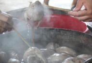 QQ8839 nhà cái: “Chuột thủ” tiết lộ kĩ nghệ săn chuột thu nửa tạ mỗi ngày