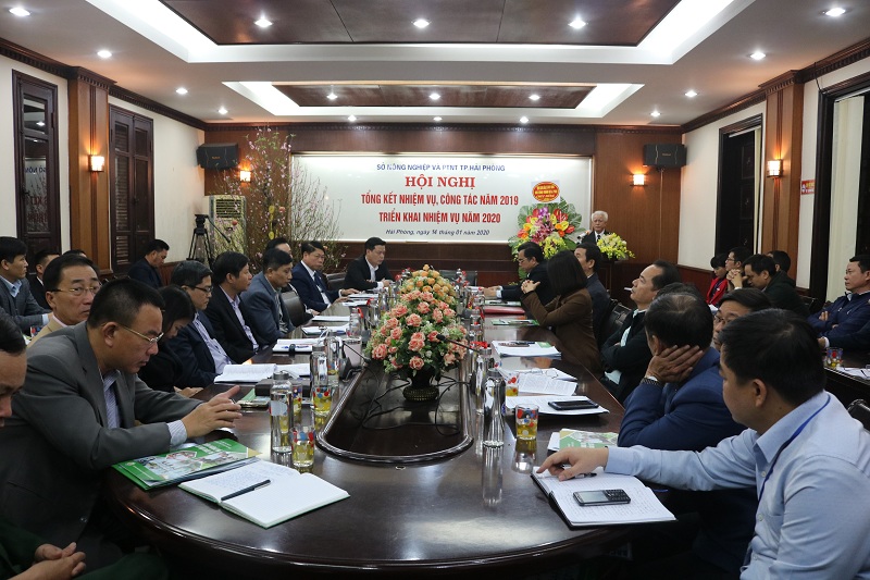 Quang cảnh hội nghị