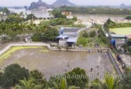 Đoàn chuyên gia khảo cổ học, sử học khảo sát, QUÀ TẶNG QQ88 | Ho Chi Minh City bãi cọc Đầm Thượng, xã Lại Xuân