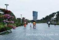 Công ty TNHH MTV Qq88 https betamed sa com đô thị QQ8839 nhà cái: Sẽ thay đổi thiết kế cây hoa trang trí dải trung tâm bảo đảm an toàn tuyệt đối cho Đăng Nhập QQ88.COM | Link Trang Chủ QQ888