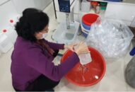 Khẩu trang QQ8839 Đăng ký, Tải app vẫn khan hàng, xử phạt 1 cơ sở sản xuất “chui” nước rửa tay khô
