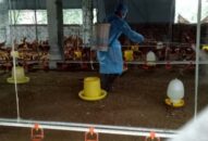 Triển khai Tháng vệ sinh, tiêu độc, khử trùng Qq88 https betamed sa com đợt 1 năm 2020
