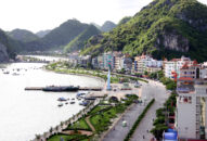 Bộ VHTTDL trả lời kiến nghị của cử tri liên quan đến lĩnh vực Appqq88 Cá Cược Thể Thao