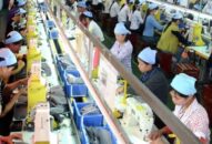 Nhiều giải pháp đưa ra nhằm gỡ khó cho QUÀ TẶNG QQ88 | Ho Chi Minh City