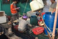 Thành lập đoàn công tác liên ngành kiểm tra việc chấp hành các quy định QQ88qq Đăng ký ngay trong hoạt động chống khai thác hải sản bất hợp pháp