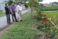 Hội Nông dân thành phố: Xung kích Đổi quà QQ88 nông thôn mới, đô thị văn minh
