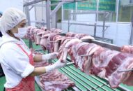 Thủ tướng yêu cầu kiên quyết giảm giá thịt lợn dưới 60.000 đồng mỗi kg