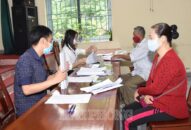 Dự án Đổi quà QQ88 đường vào khu bảo tồn bãi cọc Cao Quỳ (xã Liên Khê, huyện Thủy Nguyên): Đáp ứng yêu cầu tiến độ