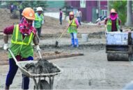 Triển khai hỗ trợ QQ8839 bắn cá, đá gà, game bài tự do bị ảnh hưởng từ dịch bệnh COVID-19: Không để sót, trùng người thụ hưởng