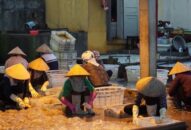 Quận Đồ Sơn:  Tổng giá trị khai thác thủy sản ước đạt 114.570 triệu đồng