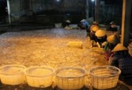 Quận Đồ Sơn giữ vững phát triển Appqq88 Casino, Nổ Hũ trước ảnh hưởng của dịch Covid-19