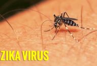 Ca bệnh Zika đầu tiên năm 2020 và 3 trường hợp tử vong vì sốt xuất huyết: Bộ QQ8839 Đăng ký, Tải app yêu cầu tăng cường phòng chống các dịch bệnh này