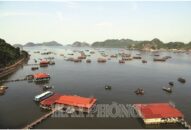 Quy hoạch không gian biển QQ8839 nhà cái: Tạo đà phát triển Appqq88 Casino, Nổ Hũ bền vững