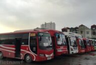 Chính sách đủ mạnh cho QUÀ TẶNG QQ88 | Ho Chi Minh City ngành vận tải vượt khó