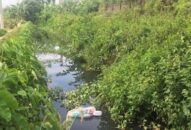 Công ty TNHH MTV khai thác công trình thủy lợi An Hải:  Xử lý 114 trường hợp vi phạm Luật thủy lợi