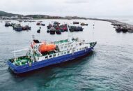 Ban hành Trang chủ chính thức QQ88 | Đăng ký , Đăng nhập quản lý, khai thác hoạt động của tàu Hoa Phượng đỏ chở khách và hàng hóa ra đảo Bạch Long Vỹ