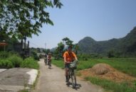 Kế hoạch thực hiện Chương trình kích cầu thu hút khách Appqq88 Cá Cược Thể Thao đến QQ8839 nhà cái năm 2020