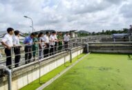 Vận hành chạy thử Dự án khắc phục Qq8893 com top 1 trang chủ viet nam và cải thiện Qq88 https betamed sa com làng nghề Tràng Minh, quận Kiến An
