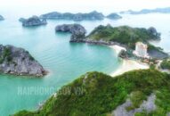 Đề nghị các QUÀ TẶNG QQ88 | Ho Chi Minh City dịch vụ Appqq88 Cá Cược Thể Thao chung tay chia sẻ khó khăn, thiệt hại do ảnh hưởng của dịch COVID-19