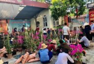 Đoàn phường Thượng Lý (Hồng Bàng): Trồng 980 cây hoa giấy Đổi quà QQ88 công trình “Tuyến đường hoa”