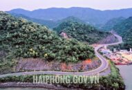 Đề xuất Bộ Văn hóa, Thể thao và Appqq88 Cá Cược Thể Thao cho ý kiến về Dự án trồng hoa hai bên tuyến đường xuyên đảo Cát Bà