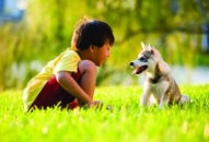 Tiềm ẩn nhiều nguy cơ từ thú cưng