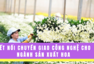 Kết nối chuyển giao công nghệ cho ngành sản xuất hoa
