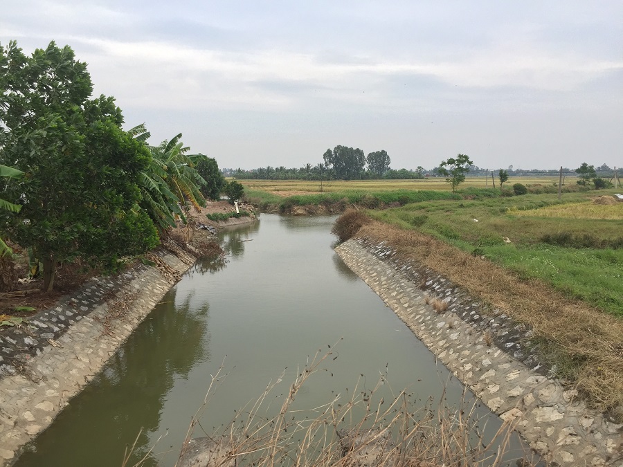 Nước khu vực Cống Trắng dần trong xanh trở lại Nước khu vực Cống Trắng dần trong xanh trở lại