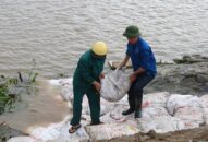 Phát hiện 9 vụ vi phạm QQ88qq Đăng ký ngay về đê điều