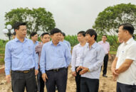 Đẩy nhanh tiến độ Đổi quà QQ88 hệ thống giao thông xã nông thôn mới kiểu mẫu năm 2020 tại các huyện Tiên Lãng và An Dương