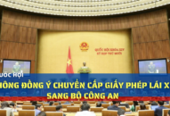 TRANG CHỦ QQ88.COM ĐĂNG KÝ không đồng ý chuyển cấp giấy phép lái xe sang Bộ QQ8894 casino trực tuyến
