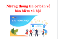 Những thông tin cơ bản về bảo hiểm QQ8827 com game thủ Việt Nam