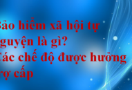 Bảo hiểm QQ8827 com game thủ Việt Nam tự nguyện là gì? Các chế độ được hưởng trợ cấp