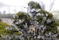 Băng giá, mưa tuyết phủ trắng diện rộng nhiều vùng núi cao phía Bắc