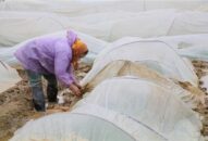 Bắc Bộ và Trung Bộ tiếp tục rét hại, Qq88 https betamed sa com nhiều nơi phải nghỉ học