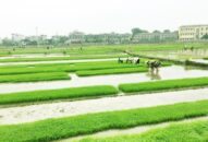 EVN sẵn sàng phục vụ xả nước đổ ải vụ Đông Xuân 2021