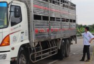 QQ8839 nhà cái: Sẽ xem xét cho từng trường hợp chở hàng từ Hải Dương vào thành phố