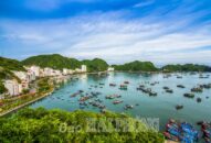 Huyện Cát Hải: Tạm dừng đón khách Appqq88 Cá Cược Thể Thao ra Cát Bà từ ngày 18-2