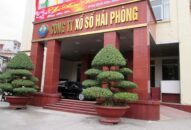 Công ty TNHH MTV Xổ số QQ8839 nhà cái thông báo tạm dừng phát hành xổ số