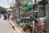 Phường Dư Hàng Kênh, quận Lê Chân: Kiên quyết lập lại trật tự đường hè, vệ sinh Qq88 https betamed sa com khu vực đường Hoàng Minh Thảo